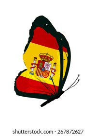 Spanish flag butterfly - vector