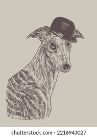 Spanish Galgo wearing funny hat and monocle, hand drawn illustration