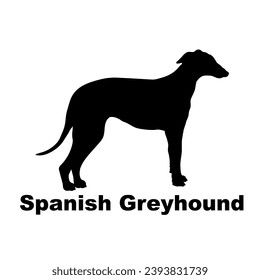  Spanish Greyhound Dog silhouette dog breeds logo dog monogram logo dog face vector