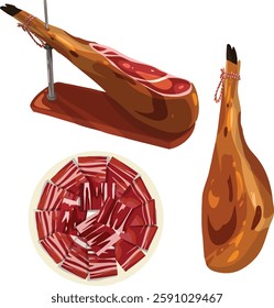 Jamón iberíco. Spanish illustration vector.