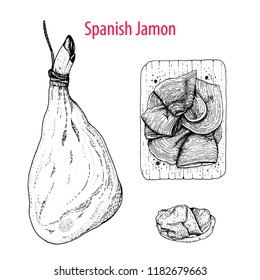 Spanish jamon hand drawn sketch. Engraved illustration. Slices of jamon illustration.