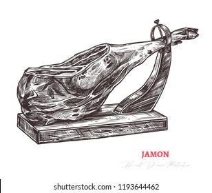 Spanish jamon hand drawn sketch illustration. Meat product or farm pork engraving vector