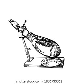 Spanish jamon iberico and serrano, hand drawn sketch illustration. Meat product or farm pork engraving vector