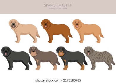 english mastiff clipart