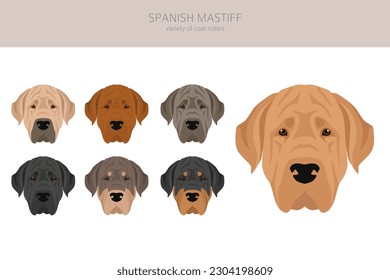 Spanish Mastiff coat colors, different poses clipart.  Vector illustration