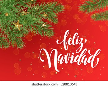 Spanish Merry Christmas Feliz Navidad text greeting calligraphy lettering. Decorative red background with golden Christmas ornament decorations of gold stars balls and Christmas tree branches 