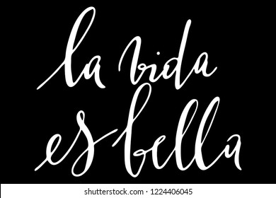 Spanish phrase life is beautiful handwritten text vector.