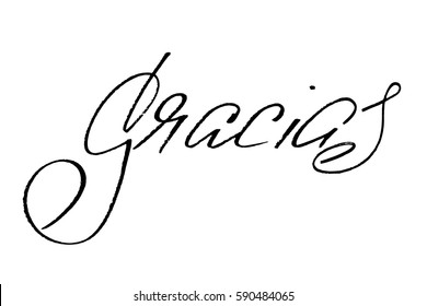 Spanish phrase thank you gracias handwriting calligraphy handwritten black text isolated on white background, vector. Each word is on the separate layer. 