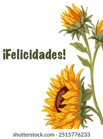 Spanish postcard with sunflowers "Felicidades"