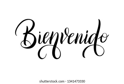 Spanish translation Bienvenido - Welcome. Greeting hand drawing calligraphy isolated on white background. Vector template, hand written lettering typography poster, invitation, print.