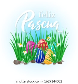 Spanish translation Happy Easter – Feliz Pascua. Vector card Happy Easter with green grass, spring flowers and decorated eggs. Poster with realistic grass meadow, blooming daisy and eggs. Card design