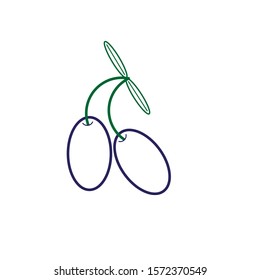 Spanish typical olives icon vector
