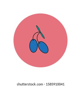 Spanish typical olives icon vector