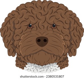 Spanish Water Dog dog isolated on white background vector illustration