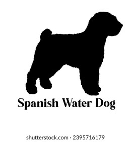 Spanish Water Dog silhouette dog breeds dog monogram logo dog face vector