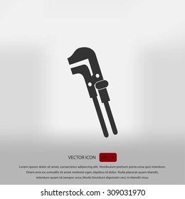 Spanner monochrome icon