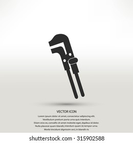 Spanner monochrome icon