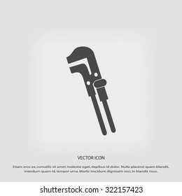 Spanner monochrome icon