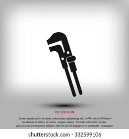 Spanner monochrome icon
