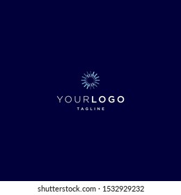 spark eye firework logo vector design. eps10