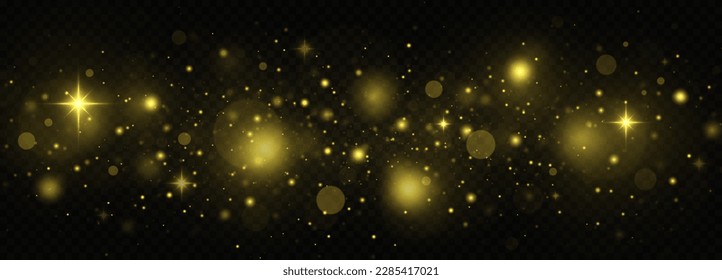 Sparkle background with luminous particles. Shiny dust light effect. Sparks and stars twinkle on transparent background.