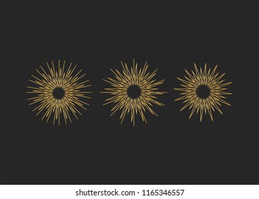 Sparkle lights stars set. Bright firework, decoration twinkle, shiny flash