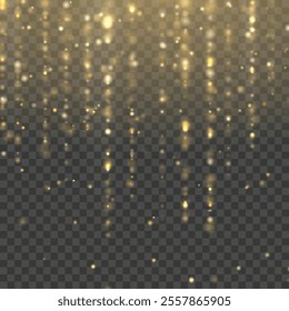 Sparkles New Year Christmas Celebration Vector illustration