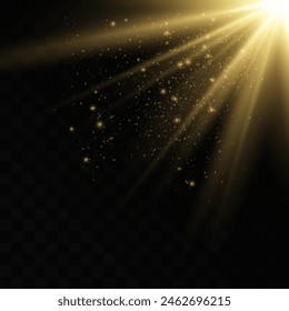 The sparkles sparkle with a special lighting effect. Sparkling magical dust particles. Glowing sparkling wave.
Glowing light explodes on a transparent background. Sparkling magical dust particles. 