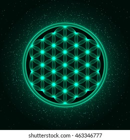 Sparkling Flower of Life. Dark background with shiny particles. Vector, EPS 10