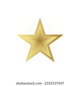sparkling gold star vector image
