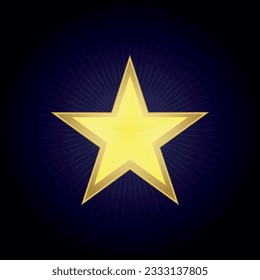 sparkling gold star vector image