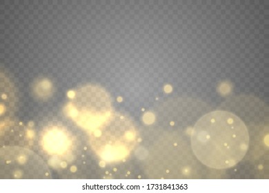 Sparkling golden magic dust particles bokeh on transparent background, Christmas sparkl light effect, sparkle, shine lights, yellow dust sparks and star shine with special light, vector illustration.