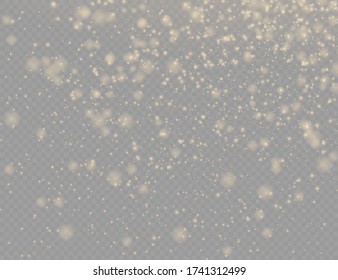 Sparkling golden magic dust particles bokeh on transparent background, Christmas sparkle light effect, sparkle, shine lights, yellow dust sparks and star shine with special light, vector illustration.