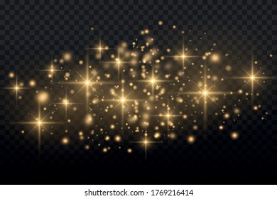 Sparkling golden magic dust particles bokeh on transparent background, yellow dust sparks and star shine with special light, Christmas sparkle light effect, sparkle, shine lights, vector illustration.