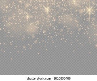 Sparkling golden magic dust particles on transparent background, sparkle, shine lights, yellow dust sparks and star shine with special light, Christmas sparkl light effect, vector illustration.