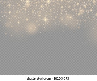 Sparkling golden magic dust particles on transparent background, sparkle, shine lights, yellow dust sparks and star shine with special light, Christmas sparkl light effect, vector illustration.