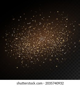 Sparkling golden magic dust particles on transparent background, sparkle, shine lights, yellow dust sparks and star shine with special light, Christmas sparkl light effect, vector illustration.