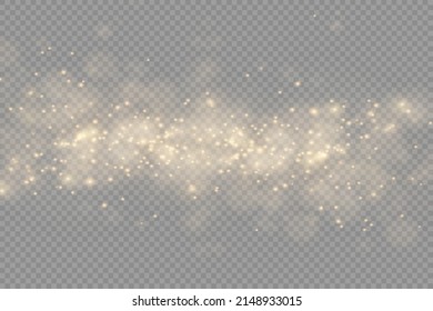 Sparkling golden magic dust particles bokeh on transparent background, Christmas sparkl light effect, sparkle, shine lights, yellow dust sparks and star shine with special light, vector illustration.