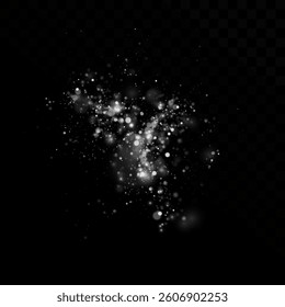Sparkling light. Bright dust. Light effect.