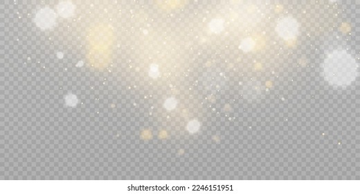 Sparkling magical dust particles, festive light effect. Vector glitter for web design and illustrations.