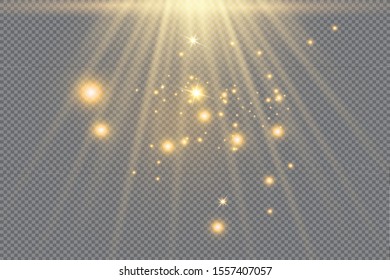 Sparkling magical dust particles. The dust sparks and golden stars shine with special light. Vector sparkles on a transparent background. Christmas light effect.