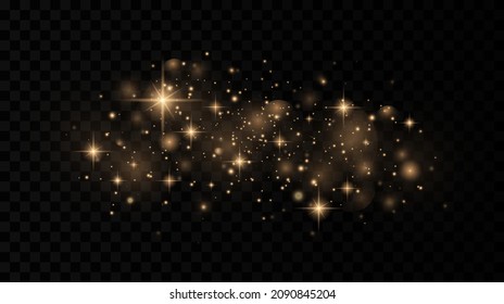 Sparkling magical dust particles. The dust sparks and golden stars shine with special light on a black transparent background. Golden shiny light effect.