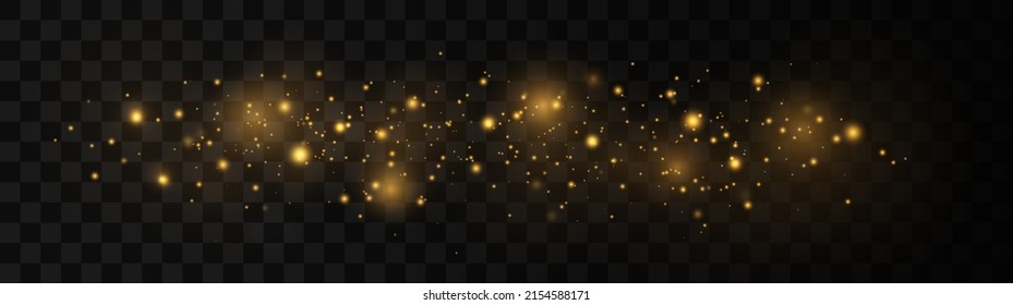 Sparkling magical dust particles. The dust sparks and golden stars shine with special light. Christmas concept.