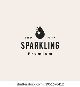 sparkling water drop clean hipster vintage logo vector icon illustration