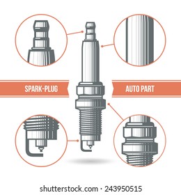 Spark-plug auto part. Color print on a white background