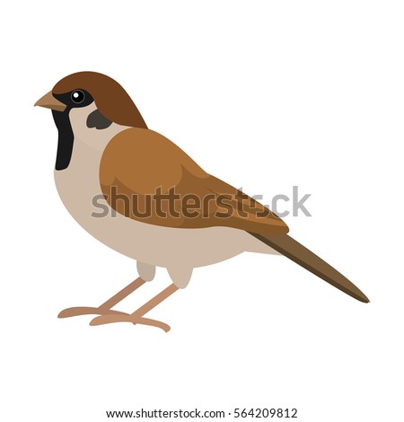 Similar – Image, Stock Photo sparrow in frame of wooden pallet. Black and white photo