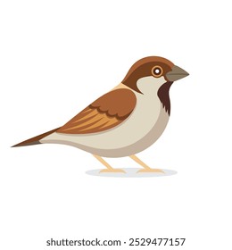 Ilustración vectorial plana aislada del animal del gorrión en el fondo blanco.