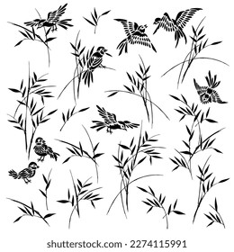 Sparrow and bamboo drawn with Japanese technique,