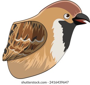 A sparrow beak vector illustration