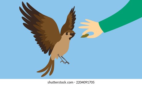 Sparrow being fed by hand, illustration, vector